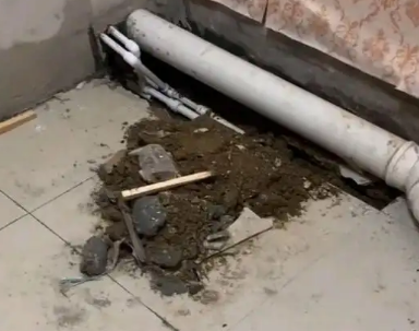 循化卫生间漏水检测哪家好